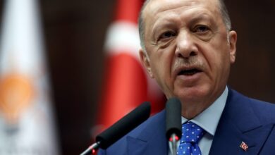 الانتخابات التركية.. أردوغان