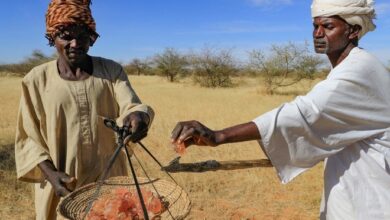 الحرب في السودان تهدد صناعة المشروبات الغازية