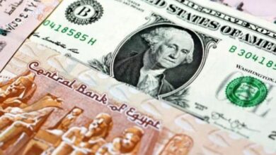 سعر الدولار في مصر