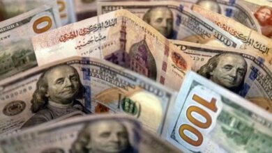 سعر الدولار في مصر