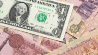 سعر الدولار في مصر اليوم