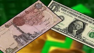 سعر الدولار اليوم أمام الجنيه المصري