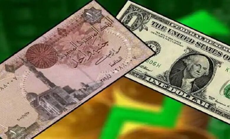 سعر الدولار اليوم أمام الجنيه المصري
