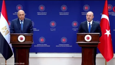 شكري وتشاويش أوغلو