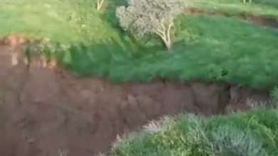 محافظة الرقة