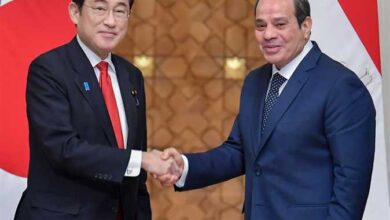 مصر واليابان