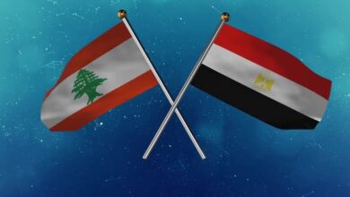 البطاطا المصرية
