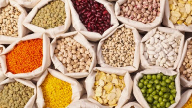 الفاو أسعار