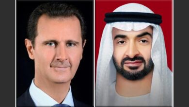 الأسد ومحمد بن زايد