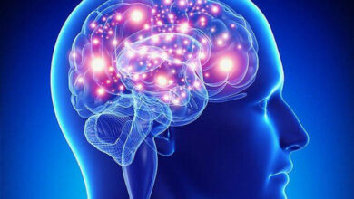 التدخين وحجم الدماغ