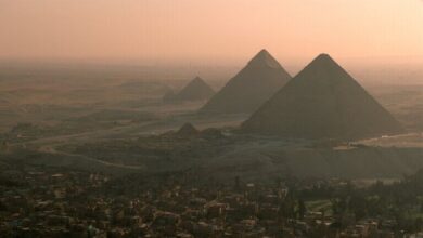 الجيش المصري