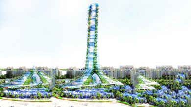 برج نخلة جميرا الجديد
