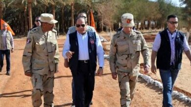 مصر تتفوق على السعودية في أكبر مزرعة تمور بالعالم